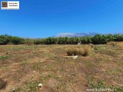Kokkinos Pyrgos Kreta, Kokkinos Pyrgos, bebaubares Grundstück 3800m² 200m bis zum Meer Grundstück kaufen